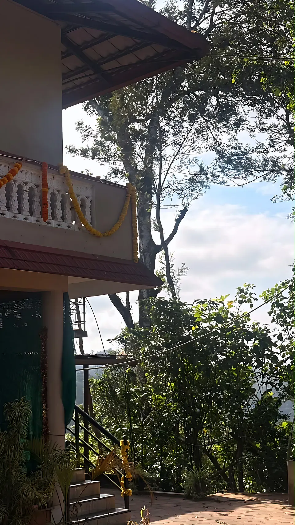 Balcony and trees